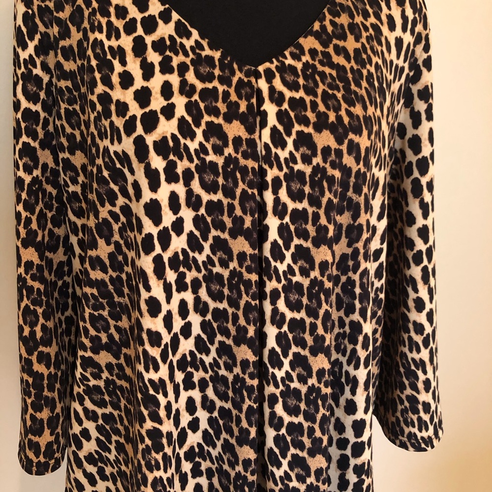 Leopard Print pullover blouse by Frank Lyman.